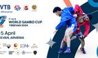 Кубок мира по самбо пройдет в Ереване